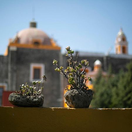 Majikal B&B -Retro Cholula Extérieur photo